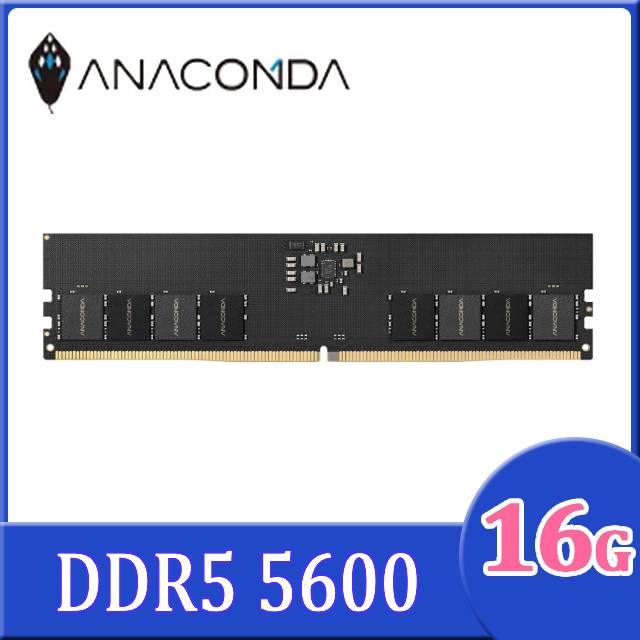 ANACOMDA Standard 16GB (1x16) DDR5 5600MHz UDIMM 台灣品牌 (永久保養)