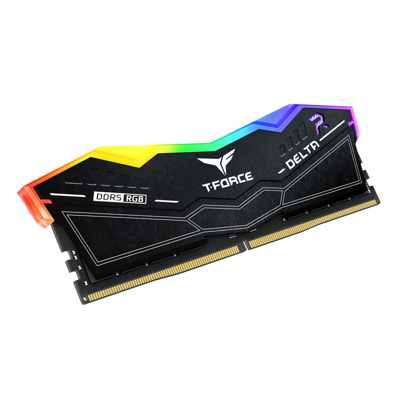 TEAMGROUP 32GB Kit (2x16GB) T-Force Delta RGB D5 Black Black DDR5 6000MHz CL28 Memory FF3D532G6000HC28ADC01 (RM-DR5532B)