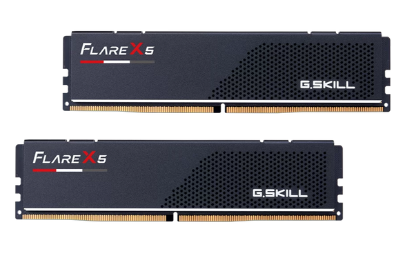 G.SKILL 32GB Kit (2x16GB) Flare X5 F5-5600J3036D16GX2-FX5 DDR5 5600MHz Memory AMD EXPO