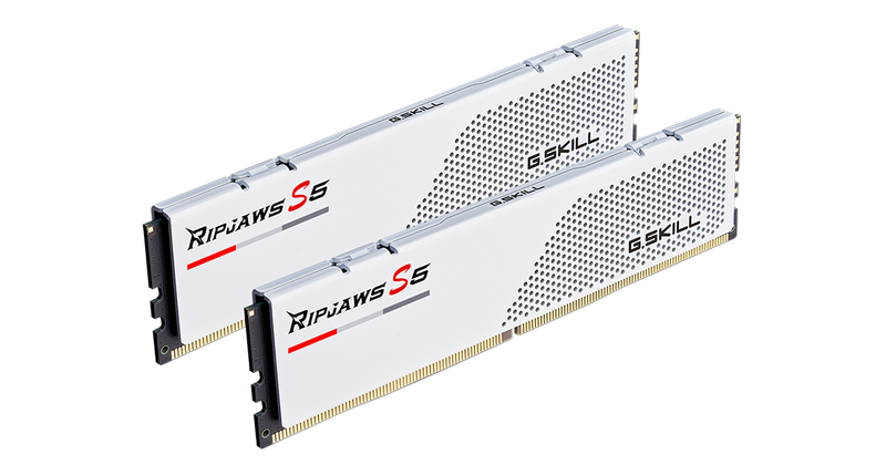 G.SKILL 64GB Kit (2x32GB) Ripjaws S5 White F5-6000J3040G32GX2-RS5W DDR5 6000MHz Memory