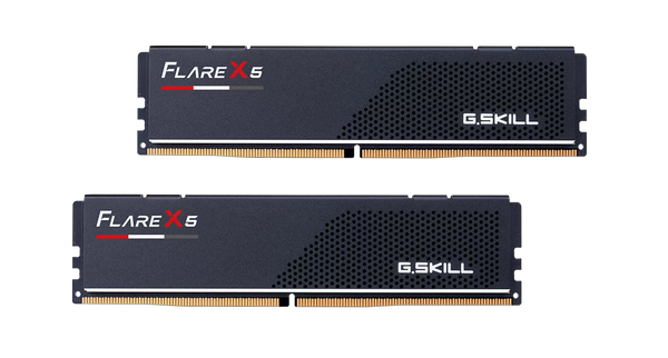 G.SKILL 64GB Kit (2x32GB) Flare X5 F5-5600J3636D32GX2-FX5 DDR5 5600MHz Memory AMD EXPO