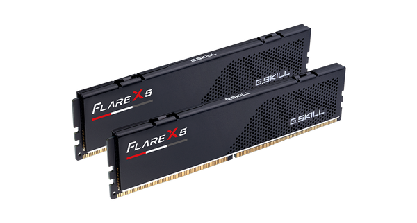 G.SKILL 96GB Kit (2x48GB) Flare X5 F5-5200J4040A48GX2-FX5 DDR5 5200MHz Memory (AMD EXPO)