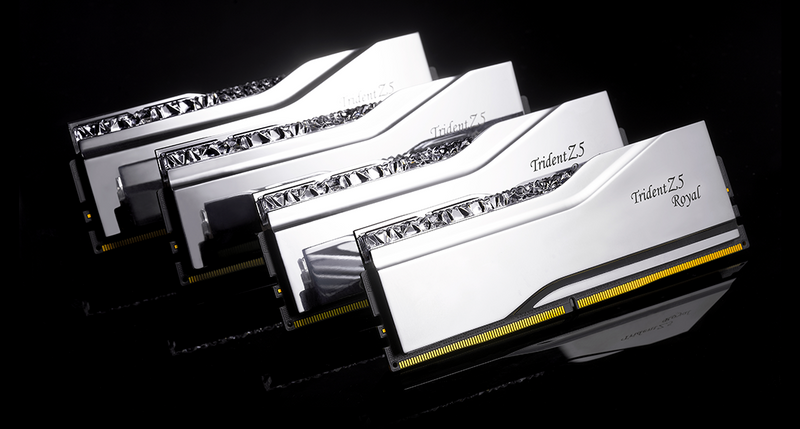 G.SKILL 48GB Kit (2x24GB) Trident Z5 ROYAL RGB Silver F5-8000J4048F24GX2-TR5S DDR5 8000MHz Memory