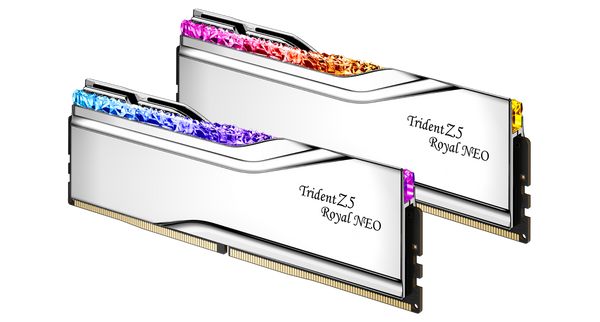 G.SKILL 32GB Kit (2x16GB) Trident Z5 ROYAL RGB Silver F5-6000J2836G16GX2-TR5NS DDR5 6000MHz Memory AMD EXPO