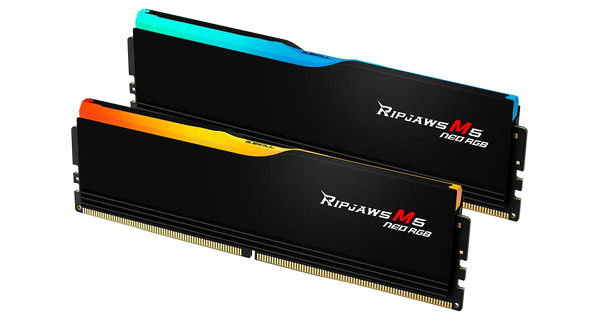 G.SKILL 32GB Kit (2x16GB) Ripjaws M5 Neo RGB Black F5-6000J3636F16GX2-RM5NRK DDR5 6000MHz Memory (AMD EXPO)