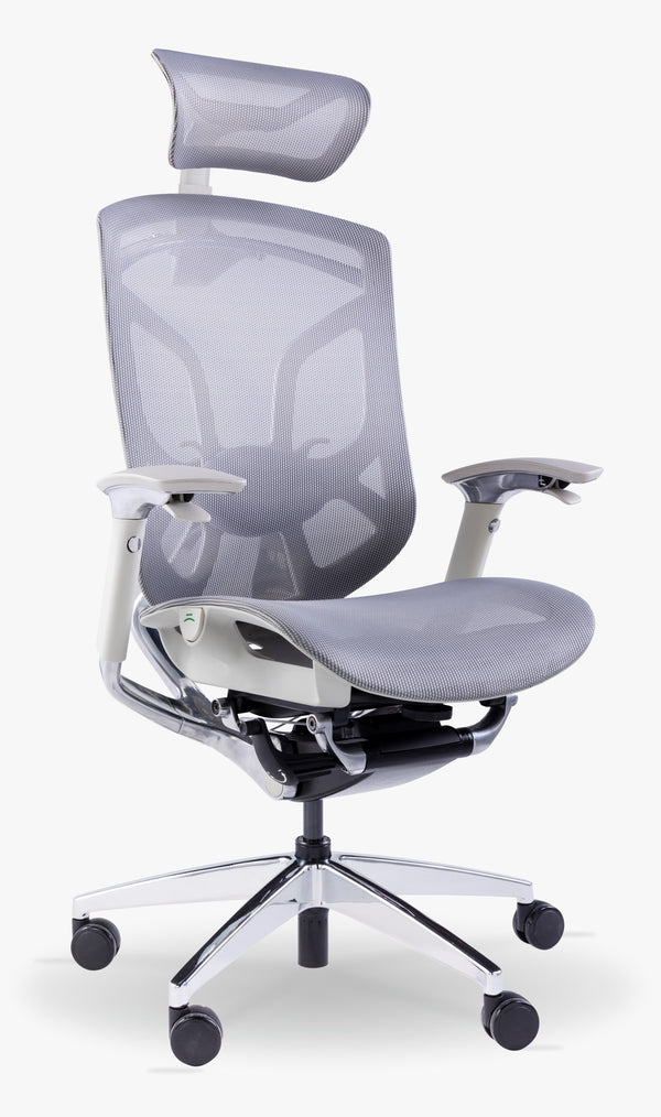 GTChair DVARY X Ergonomic Office Mesh Chair - Gray