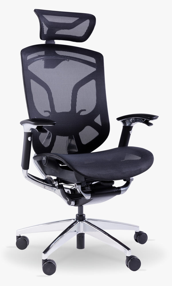 GTChair DVARY X Ergonomic Office Mesh Chair-Black 