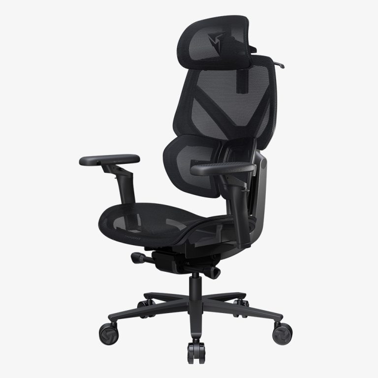 ThunderX3 FLEX PRO Ergonomics Office Chair 人體工學辦公椅 (代理直送,免費安裝)