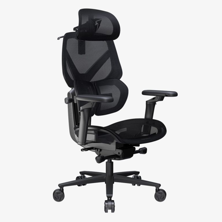 ThunderX3 FLEX PRO Ergonomics Office Chair 人體工學辦公椅 (代理直送,免費安裝)