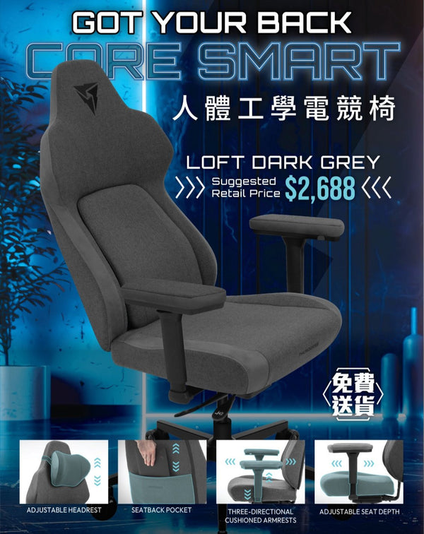 ThunderX3 CORE Smart LOFT Ergonomics Gaming Chair 電競椅 - Dark Grey 深灰色 (代理直送)