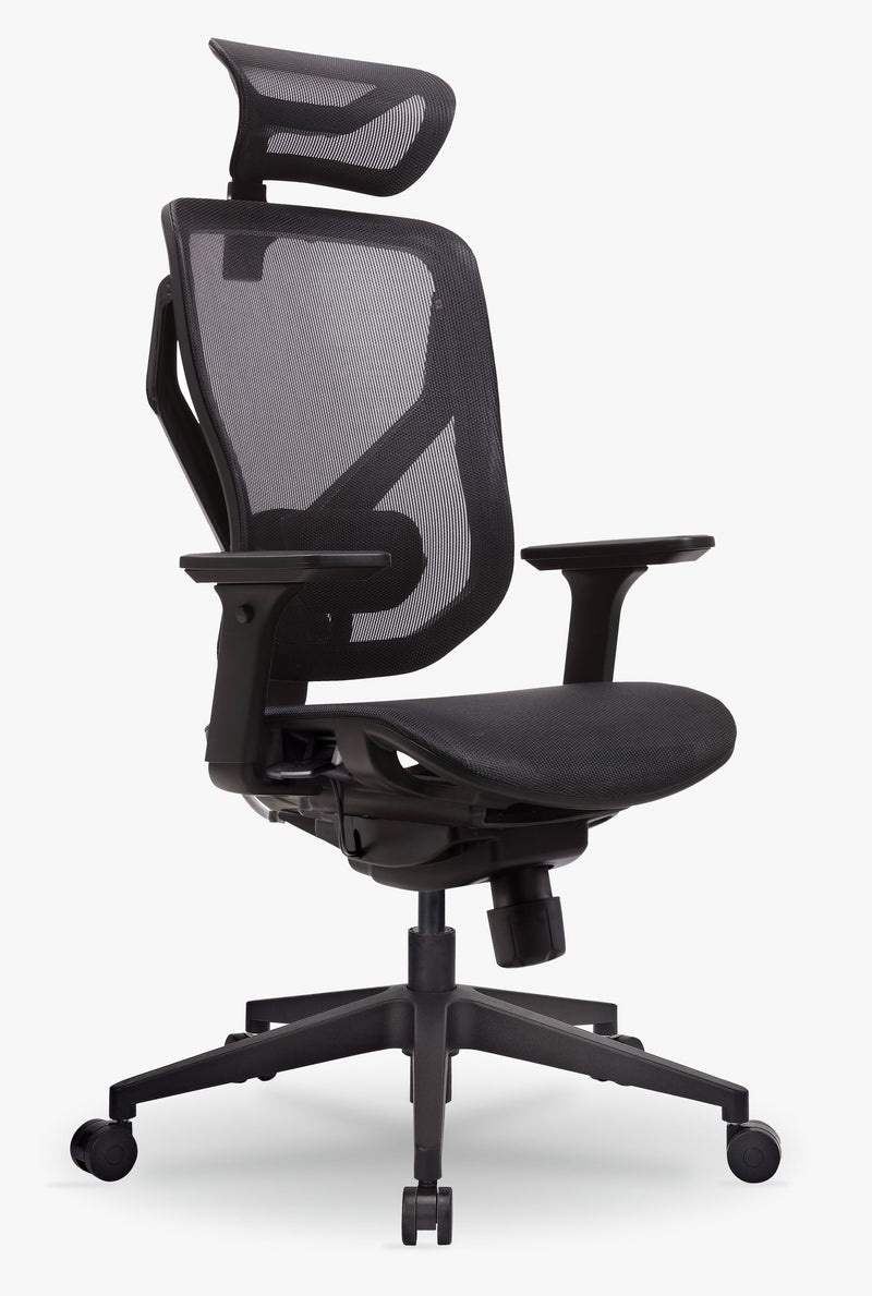 GTChair VIDA M Ergonomic Office Mesh Chair-Black 