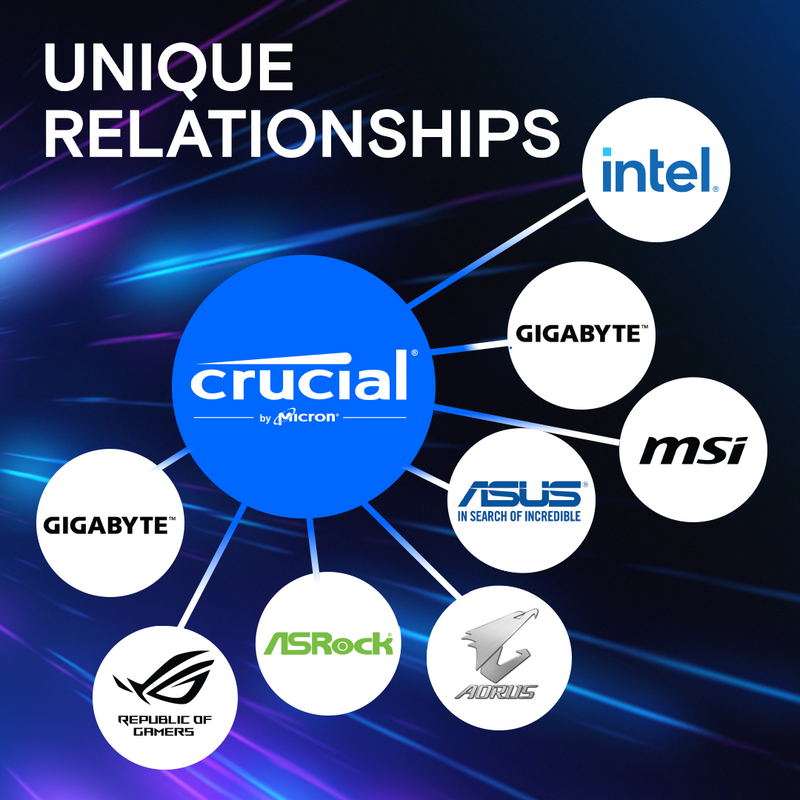 Crucial 32GB Kit (2x16GB) Pro Overclocking DDR5-6000 UDIMM CP2K16G60C36U5B Support AMD EXPO 