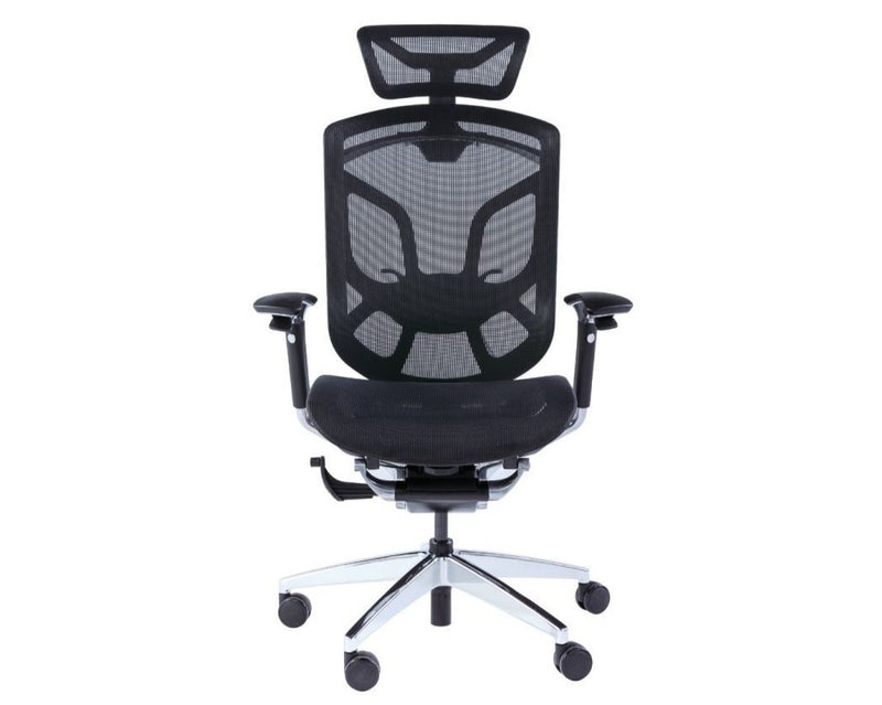 GTChair DVARY X Ergonomic Office Mesh Chair-Black 